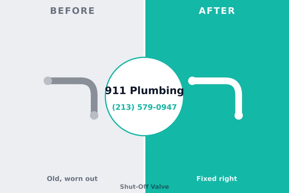 Before and after: plumbing repair Waipio Acres, HI